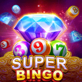 Super Bingo - Premium Hot Game